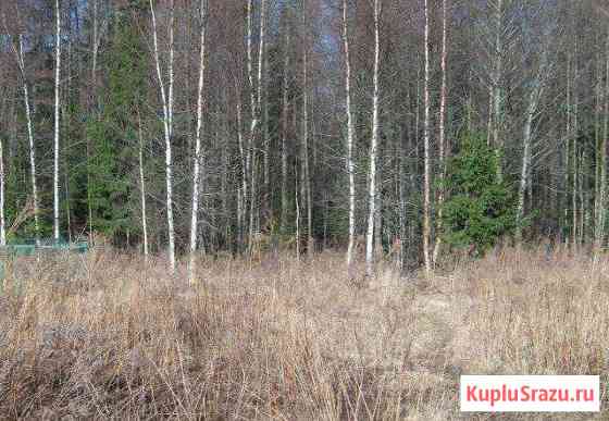  Кингисепп