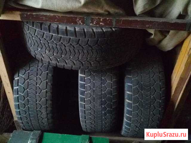 Зимние Шины 17 Dunlop Grandtrek Всеволожск - изображение 1
