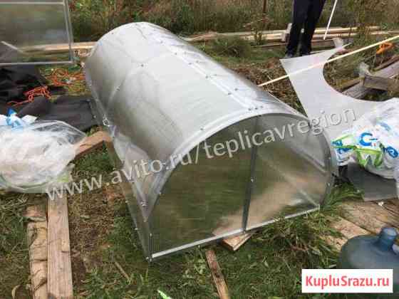 Парник бабочка Луга