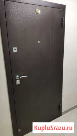 Дверь входная металлическая Янино-1 - изображение 1