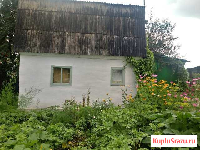  Новые Зори - изображение 1