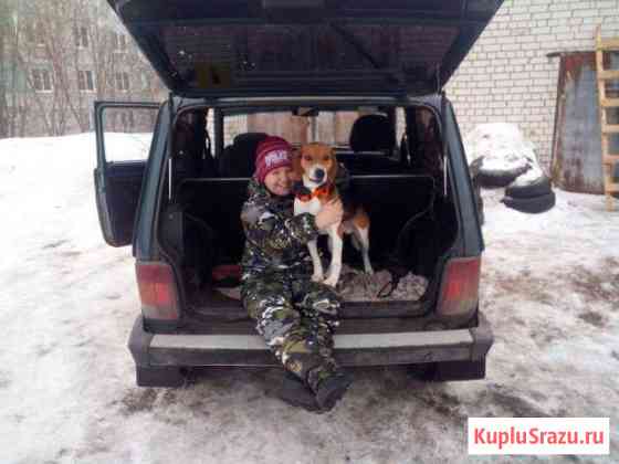 Вязка Дзержинск