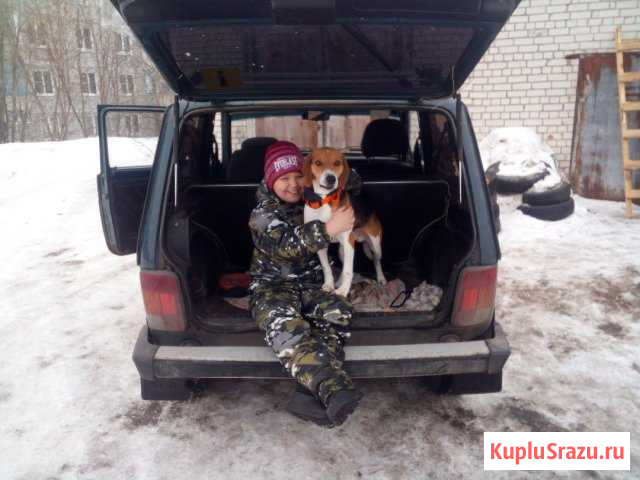 Вязка Дзержинск - изображение 1