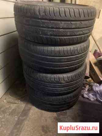 195/45R16 Луга