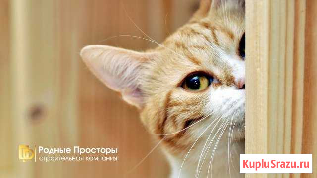 Офис менеджер, помощник руководителя Бугры - изображение 1