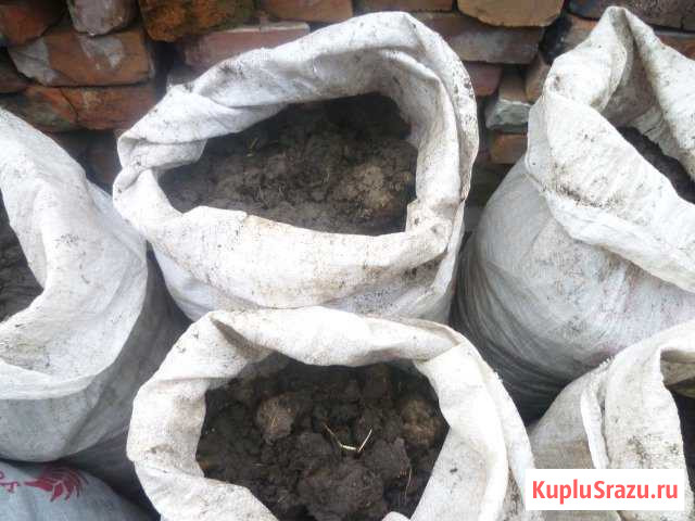 Перегной Бийск - изображение 1