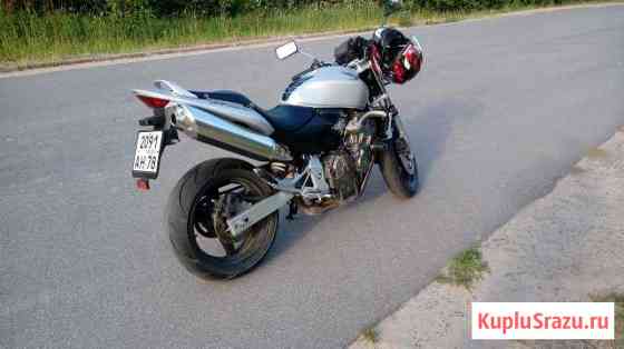 Honda hornet 600 Кириши