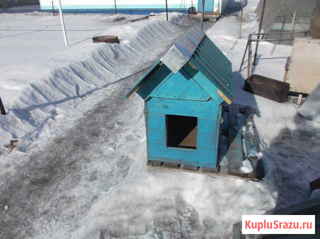 Собачья конура Бийск - изображение 1