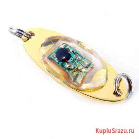 LED-приманка Бийск