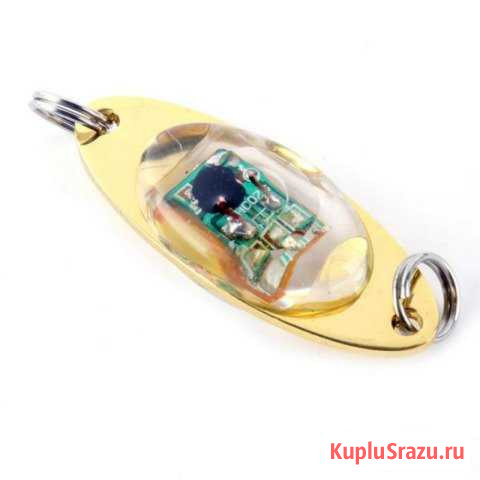 LED-приманка Бийск - изображение 1
