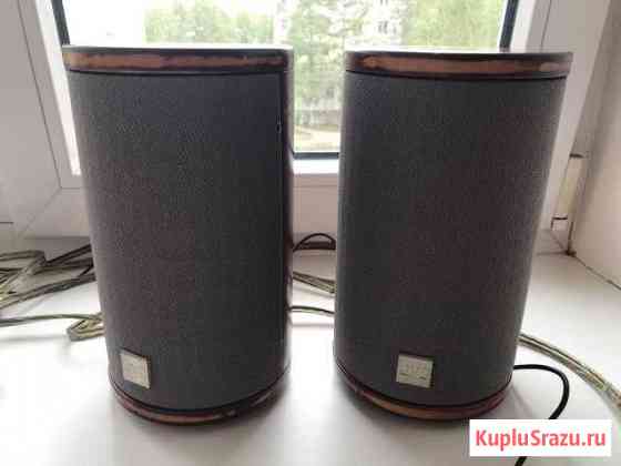 Акустика JVC FS-SD9R японская вишня Северодвинск