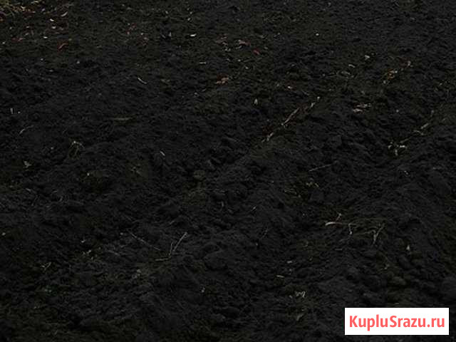 Чернозем, перегной Нефтекамск - изображение 1