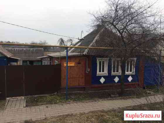  Грайворон