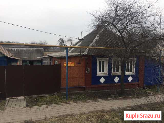  Грайворон - изображение 1
