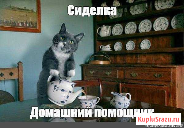 Сиделка / Домашний помощник Улан-Удэ - изображение 1