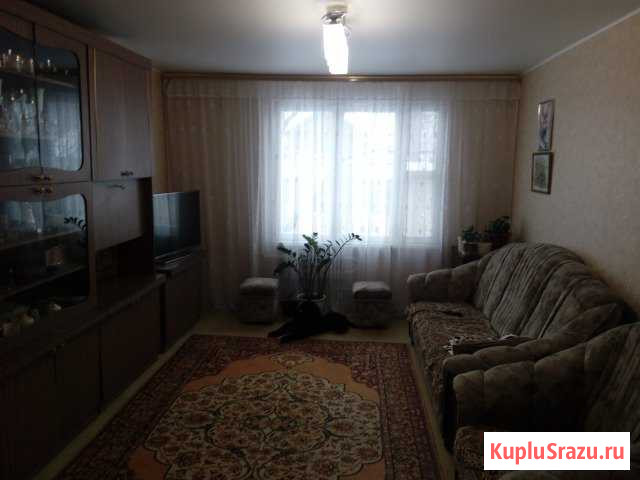 3-к квартира, 51.5 кв.м., 3/9 эт. Нововоронеж - изображение 1
