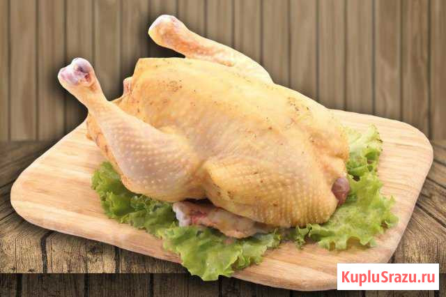 Мясо бройлеров Бутурлиновка - изображение 1