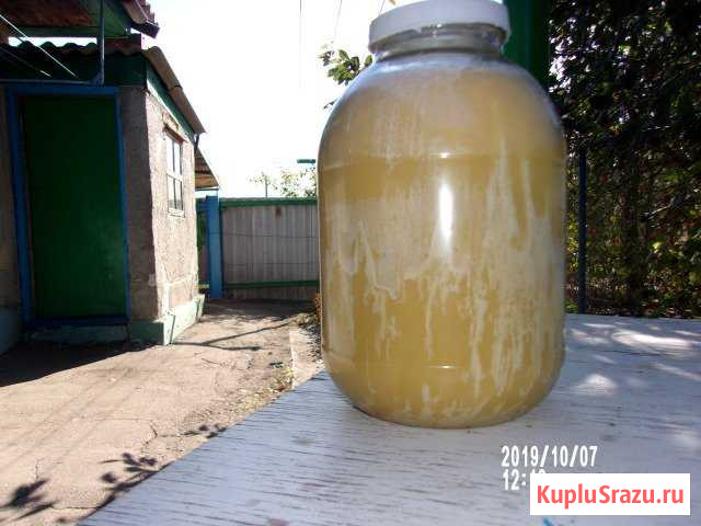 Прдам мед Митрофановка - изображение 1