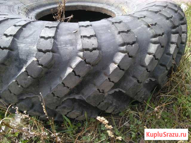 Резина Дарасун - изображение 1
