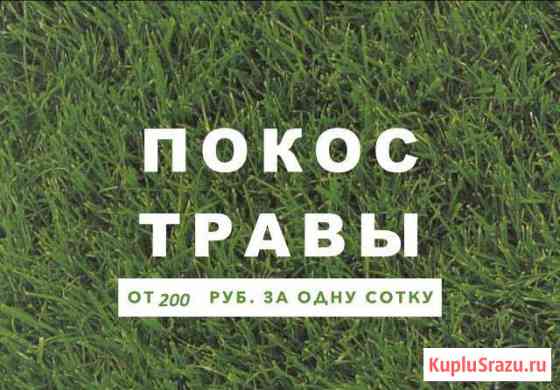 Покос травы, расчистка участка, спил деревьев Калининград