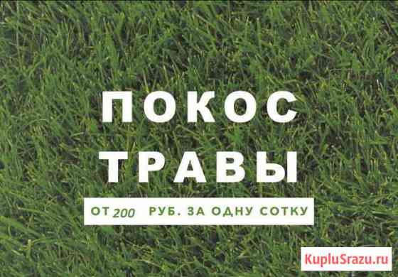 Покос травы, расчистка участка, спил деревьев Калининград