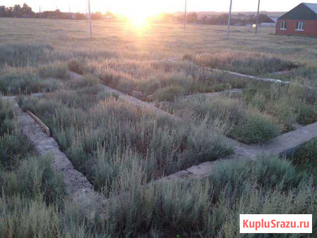 Троицкое - изображение 1