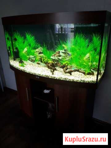 Продам аквариум Juwel 260 Ангарск - изображение 1