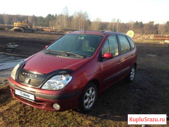 Renault Scenic 1.6 МТ, 1999, минивэн Светлый - изображение 1