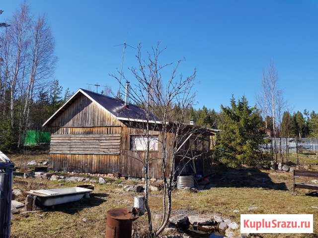 Дача 35 кв.м. на участке 10 сот. Петрозаводск - изображение 1