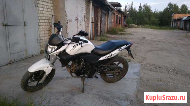 Stels flex 250 Сосногорск - изображение 1