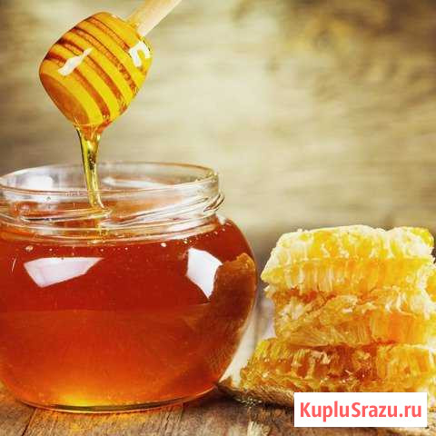 Мёд натуральный Алтайский Новокузнецк - изображение 1