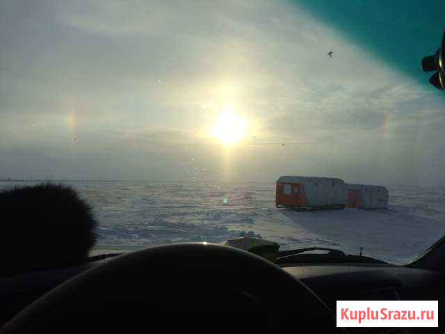 Аренда авто, катера. Перевозки речным трансп Усинск - изображение 1