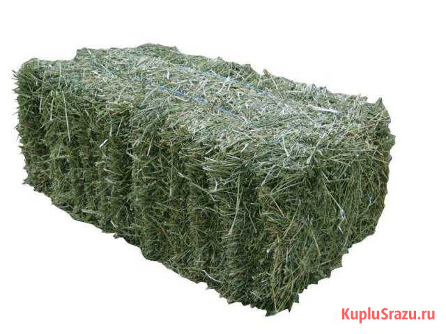 Сено луговое, люцерна в тюках Керчь - изображение 1
