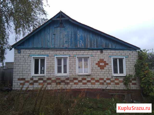 Дом 60 кв.м. на участке 17 сот. Прямицыно - изображение 1