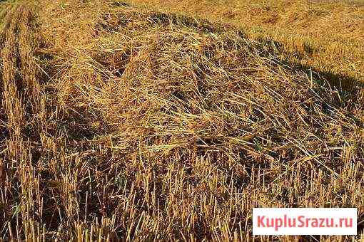 Сено, разнотравье Симферополь