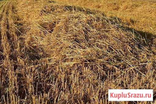 Сено, разнотравье Симферополь - изображение 1