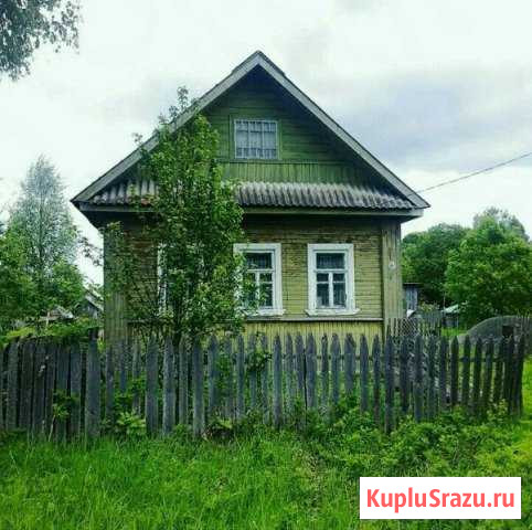 Дом 50 кв.м. на участке 15 сот. Кулотино - изображение 1