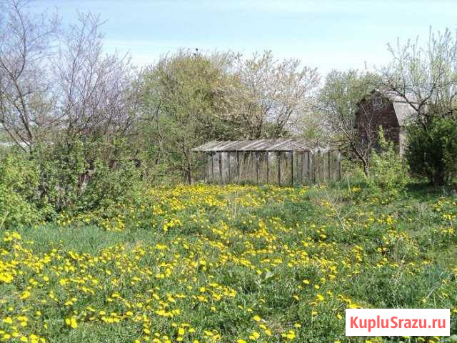  Ордынское - изображение 1