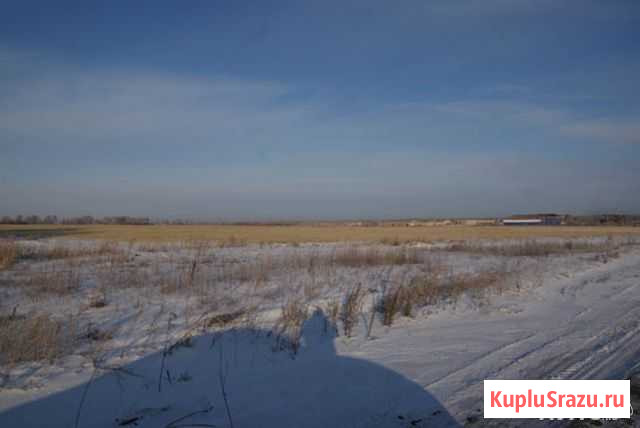  Новосибирск - изображение 1
