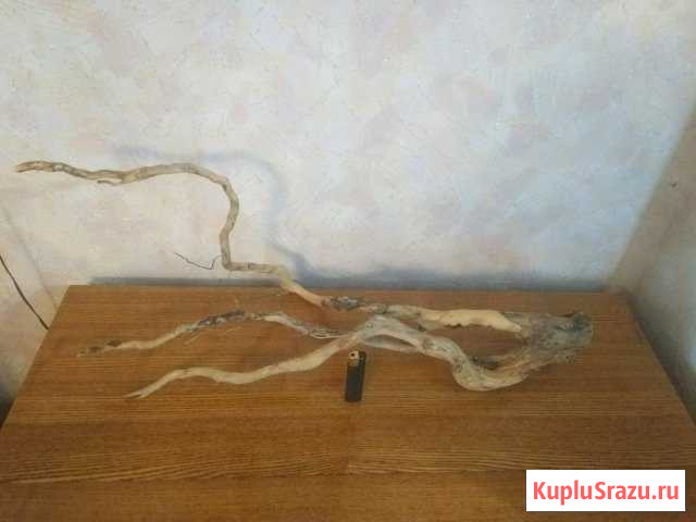Коряга в аквариум Оренбург - изображение 1