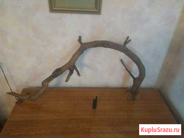 Коряга в аквариум Оренбург - изображение 1