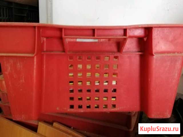 Ящики под все подряд Псков - изображение 1