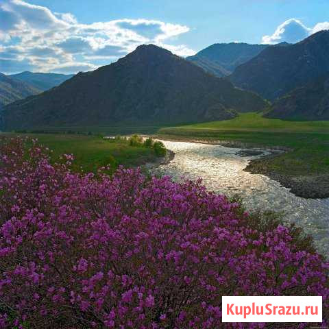  Горно-Алтайск - изображение 1
