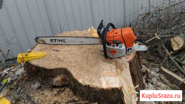 Спил деревьев. Любой сложности. Цена договорная Новосибирск - изображение 1