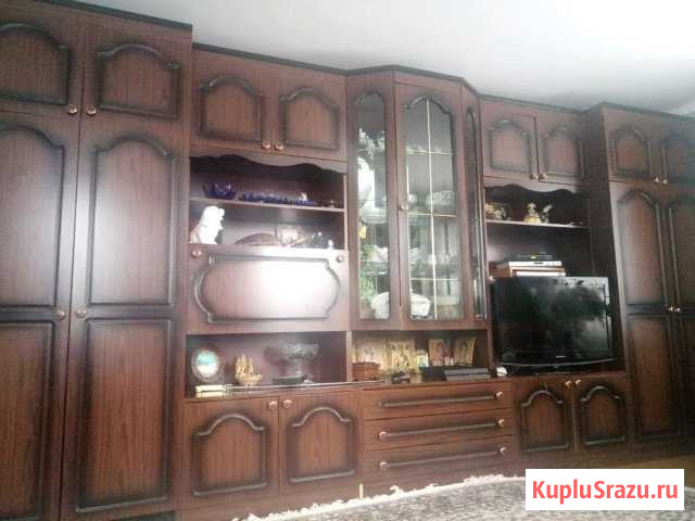 Стенка Мичуринск - изображение 1