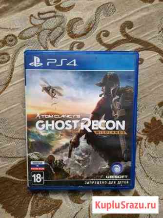 Tom Clancys Ghost Recon Wildlands. Игра на PS4 Грозный