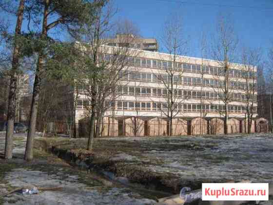 Машиноместо в аренду в Санкт-Петербурге Санкт-Петербург