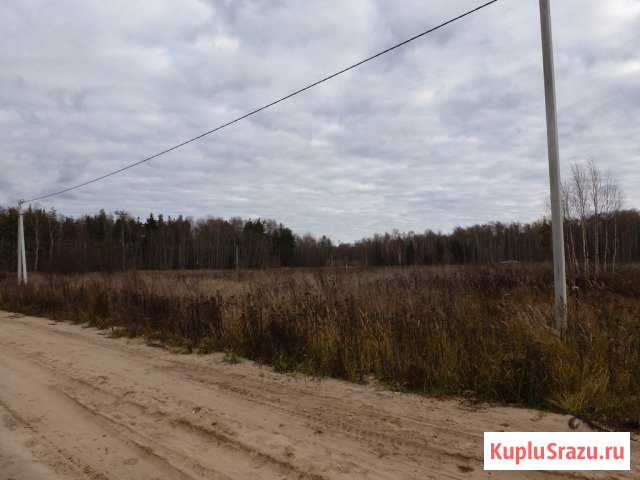  Орехово-Зуево - изображение 1