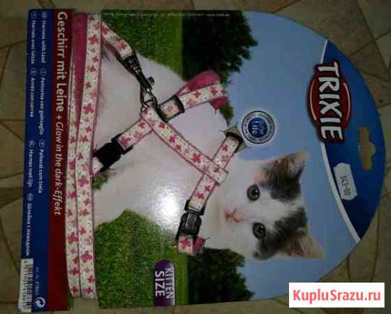 Шлейка для котенка,светящийся Щёлково