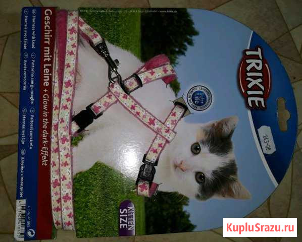 Шлейка для котенка,светящийся Щёлково - изображение 1